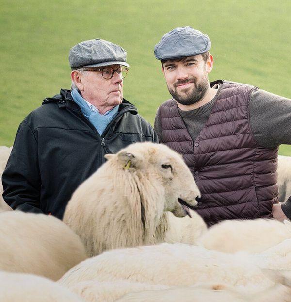 杰克&middot;怀特豪尔：爸爸教我做爸爸