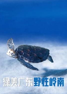 绿美广东&middot;野性岭南