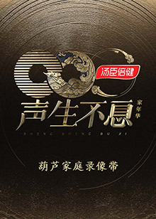 声生不息&middot;家年华葫芦家庭录像带